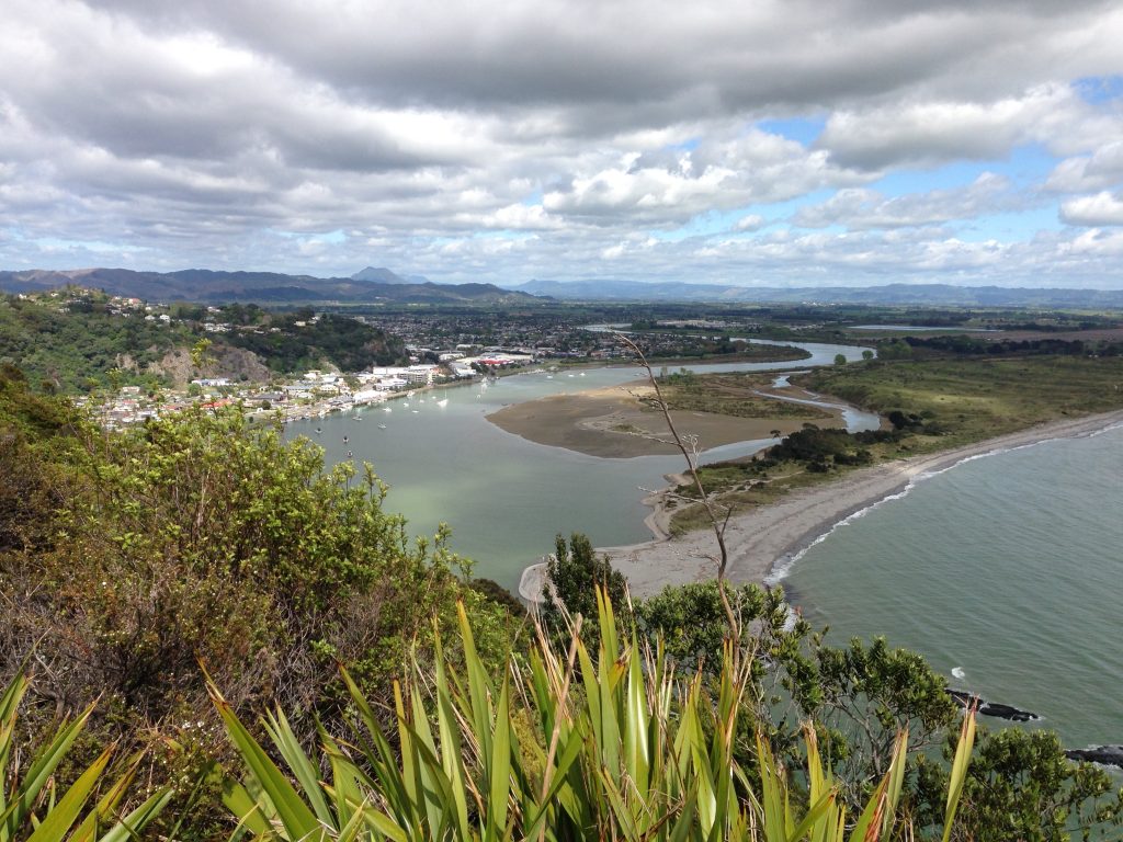 Whakatāne viewed from above at Kohi Point.