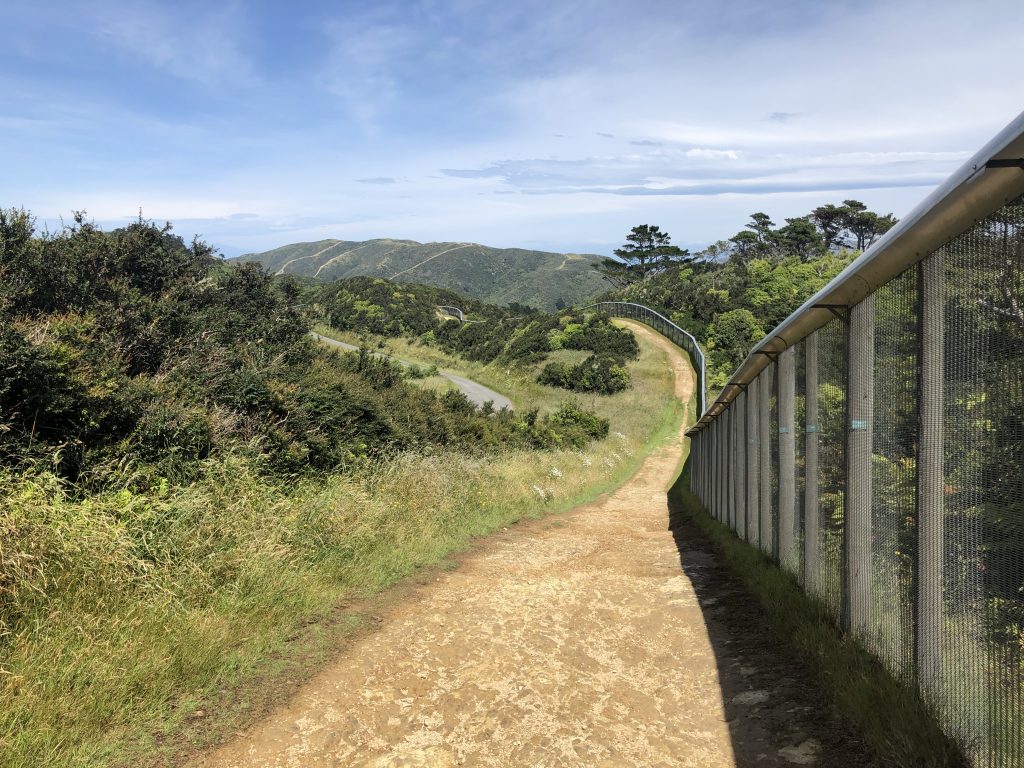 Tramping trail around the perimeter of Zealandia in Wellington.