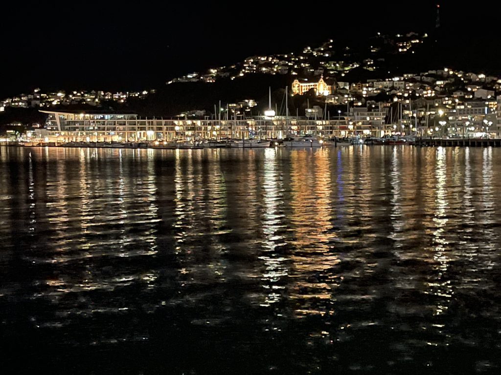 Wellington Harbour at night.