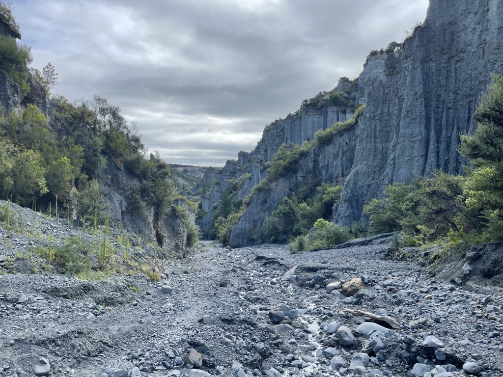 The Pinnacles near Cape Palliser.