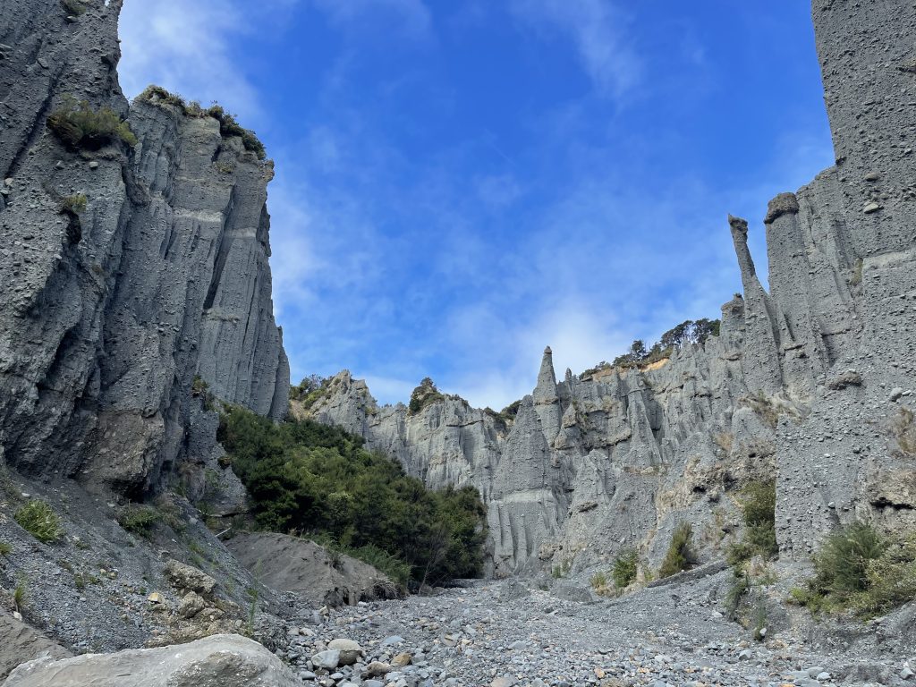 The Pinnacles near Cape Palliser.