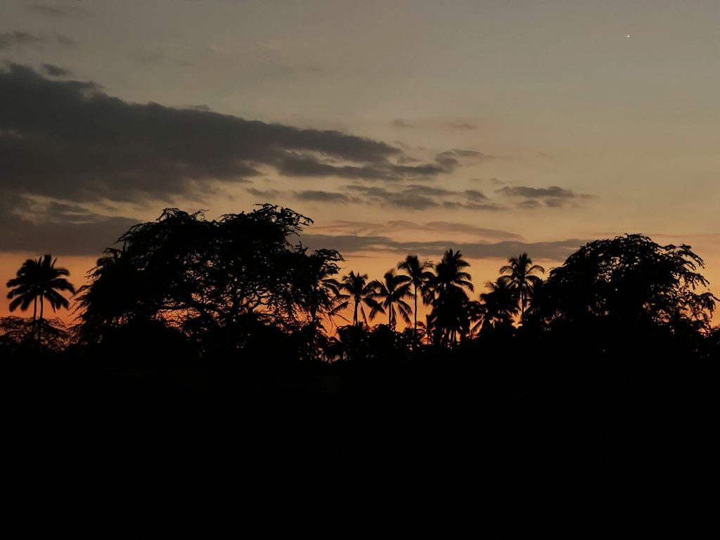 Sunset behind palm trees at a Hawaiian resort.