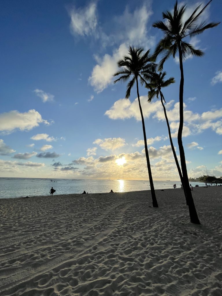 Palm trees and beachgoers at Waikiki.