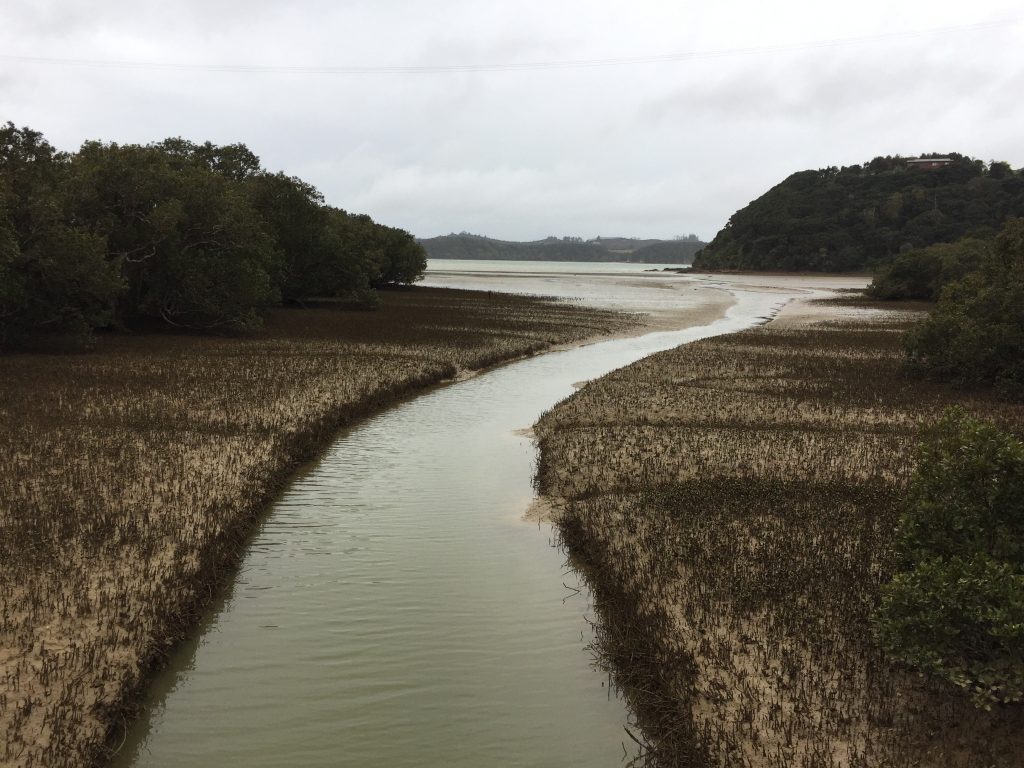 A small river runs through wetlands in the Bay of Islands.