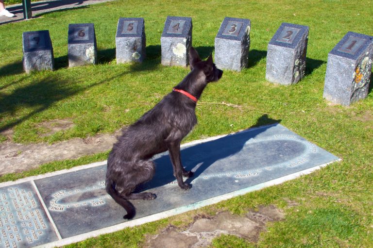 A dog sits on a sundial, with her shadow indicating the current time.